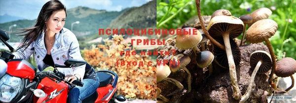 экстази Покачи