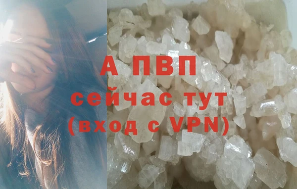 экстази Покачи