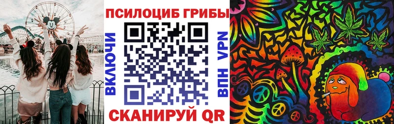 Купить  Завитинск  Галлюциногенные грибы Psilocybe 